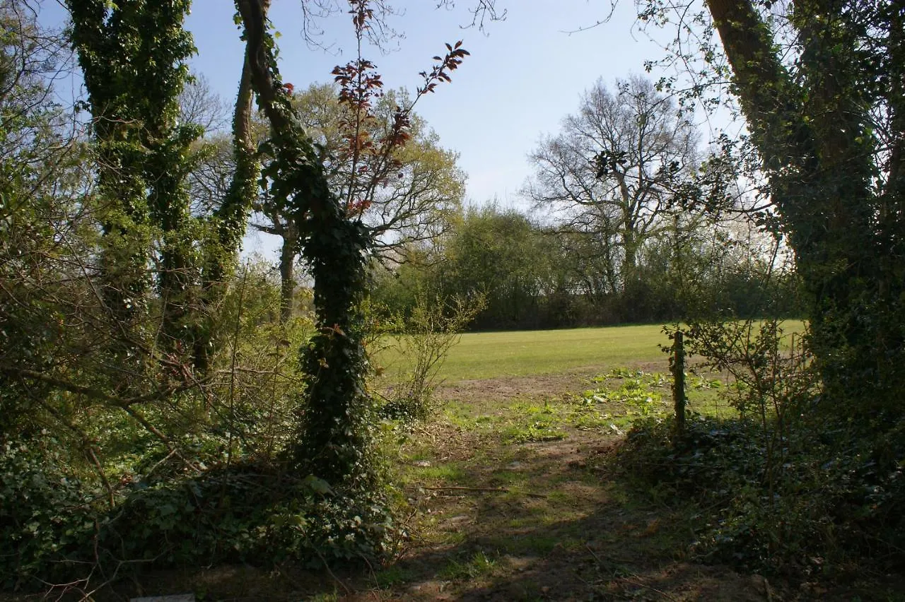 Spacious 4 Bed Family Cottage In Parkland Setting York 0*,